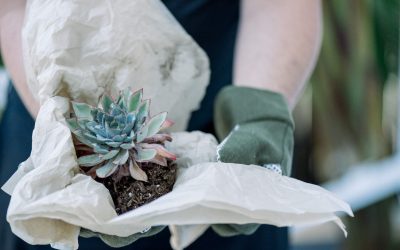 Post 10 : Lorem Ipsum Dummy Text